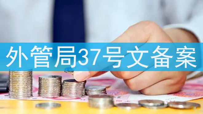 37號(hào)文登記流程